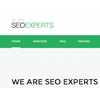WE ARE SEO EXPERTS