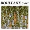 BOULEAUX FRANCE