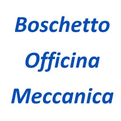 BOSCHETTO S.N.C. OFFICINA MECCANICA DI BOSCHETTO GIOVANNI E C.