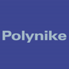 POLYNIKE - INDUSTRIA E COMERCIO LTD