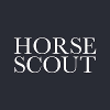 HORSE SCOUT