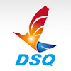 DSQ TECHNOLOGY CO., LTD