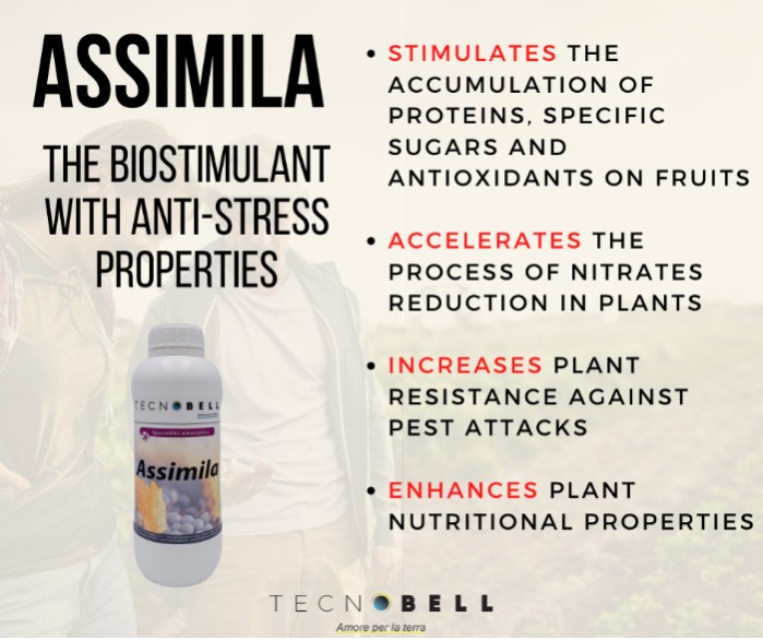 Biostimulant with amino acids