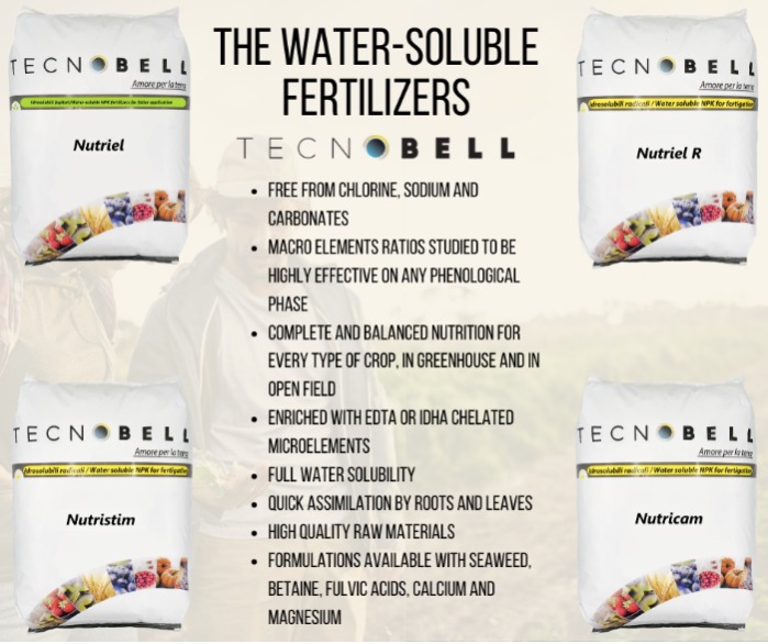 Water-soluble NPK fertilizers