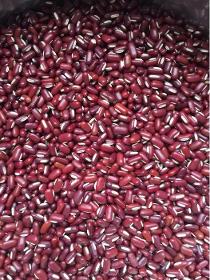 RED BAMBOO BEANS 