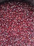 RED BAMBOO BEANS 